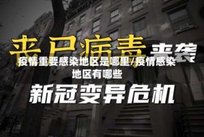 疫情重要感染地区是哪里/疫情感染地区有哪些