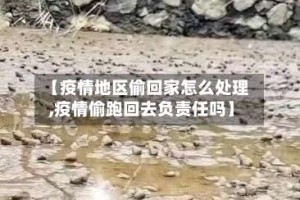 【疫情地区偷回家怎么处理,疫情偷跑回去负责任吗】
