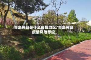 青岛黄岛是什么疫情地区/青岛黄岛疫情风险等级