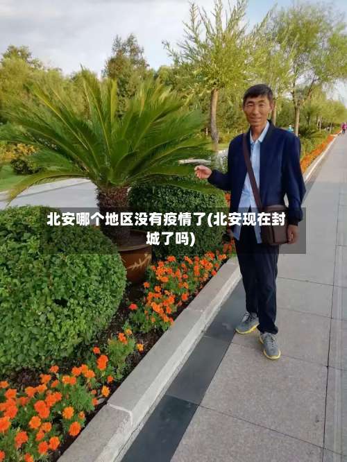 北安哪个地区没有疫情了(北安现在封城了吗)-第1张图片