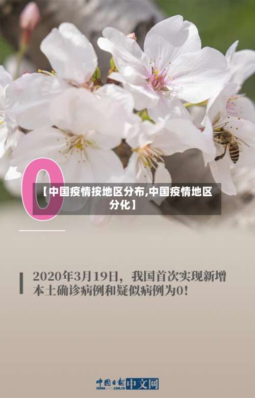 【中国疫情按地区分布,中国疫情地区分化】-第2张图片