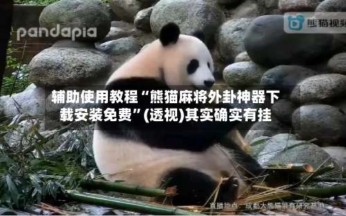 辅助使用教程“熊猫麻将外卦神器下载安装免费”(透视)其实确实有挂-第2张图片